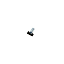 Load image into Gallery viewer, Photo - Unmounted