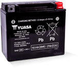 Yuasa YTX20L Maintenance Free AGM 12-Volt Battery