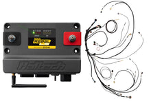 Load image into Gallery viewer, Haltech NEXUS Rebel LS Gen IV 6-Pin DBW Throttle/EV6 Injectors/Manual Transmission